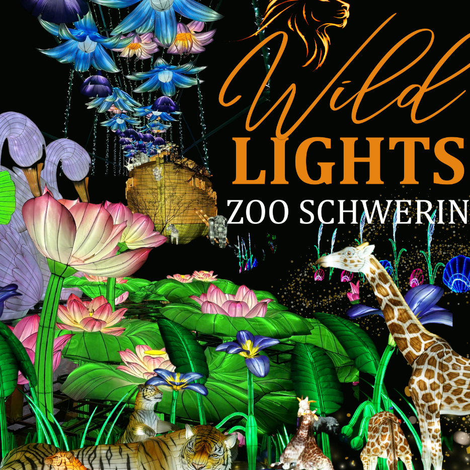 WILD LIGHTS Tagestickets