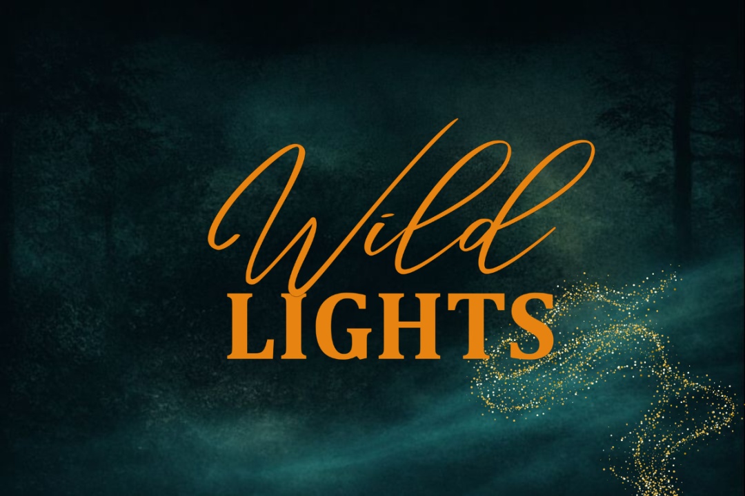 Bild für WILD LIGHTS