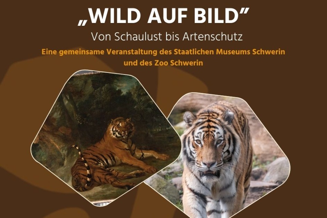Wild auf Bild
