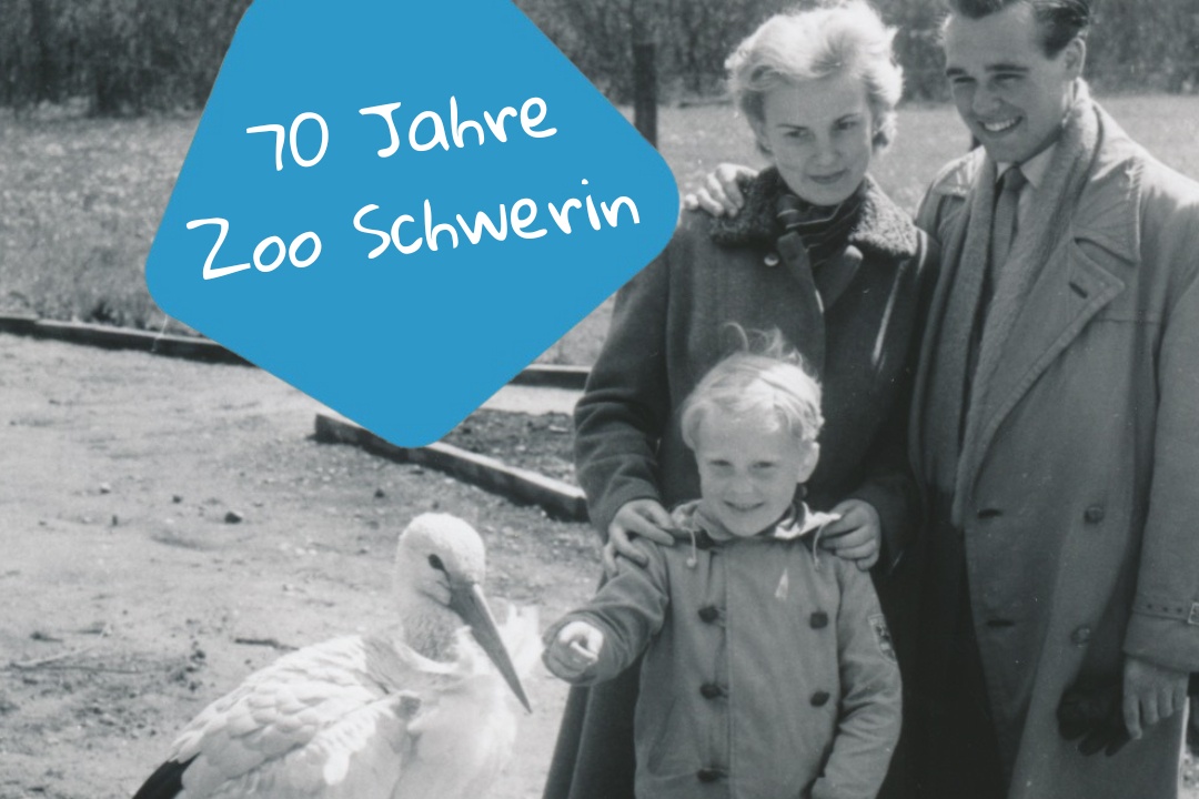 Bild für 70 Jahre Zoo Schwerin
