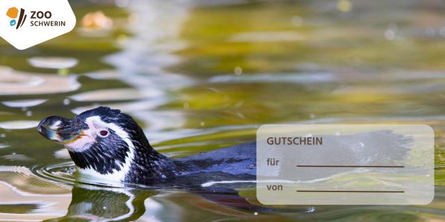 Design: Pinguin