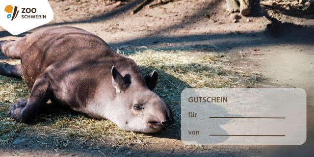 Design: Tapir