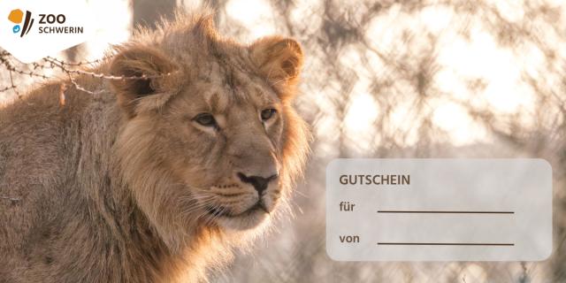 Design: Löwe